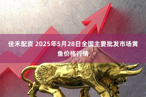 佳禾配资 2025年5月28日全国主要批发市场黄鱼价格行情