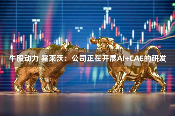 牛股动力 霍莱沃：公司正在开展AI+CAE的研发
