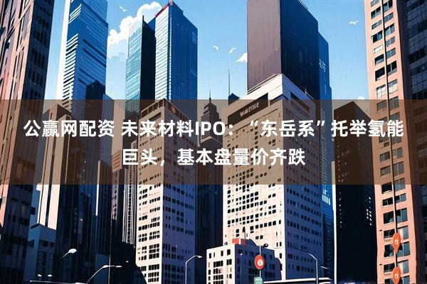 公赢网配资 未来材料IPO：“东岳系”托举氢能巨头，基本盘量价齐跌