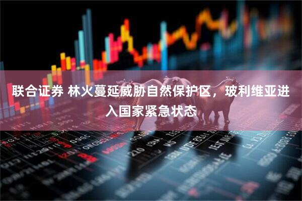 联合证券 林火蔓延威胁自然保护区，玻利维亚进入国家紧急状态