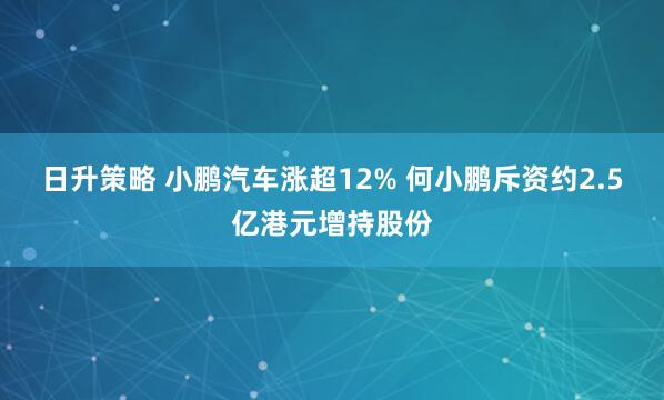 日升策略 小鹏汽车涨超12% 何小鹏斥资约2.5亿港元增持股份