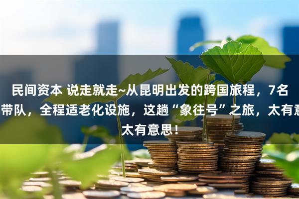 民间资本 说走就走~从昆明出发的跨国旅程，7名导游带队，全程适老化设施，这趟“象往号”之旅，太有意思！